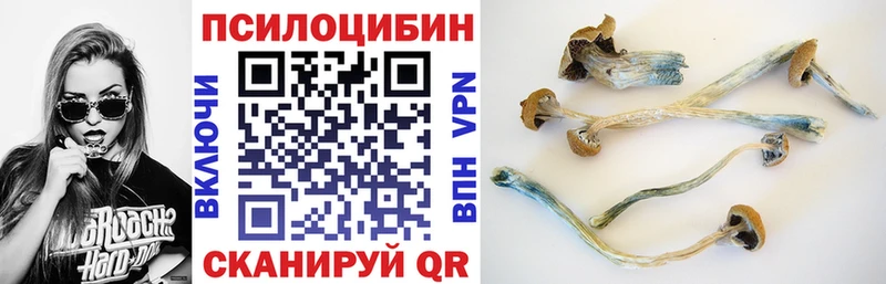 даркнет сайт  Верея  KRAKEN tor  Псилоцибиновые грибы Magic Shrooms 